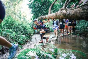 BIB: 
                            <button type="button" onclick="openModal(25466795)" class="btn btn-primary btn-sm float-right btn-popup" data-toggle="modal" data-target=".modal-high-quality">
                        <i class="fas fa-shopping-cart"></i> Add to Cart
                    </button>
                                            <button type="button" onclick="isThisMe(25466795, true)" class="btn btn-success btn-sm float-right btn-popup btn-isme hidden" data-toggle="tooltip" data-placement="bottom" title="นี่คือรูปของคุณใช่ไหม คลิกที่นี่เพื่อเอาเข้าอัลบั้ม">
                        <i class="fas fa-plus"></i> Add to album
                    </button>
                    <button type="button" onclick="isThisMe(25466795, false)" class="btn btn-warning btn-sm float-right btn-popup btn-isnotme hidden">
                        <i class="fas fa-ban"></i> Remove from album
                    </button>